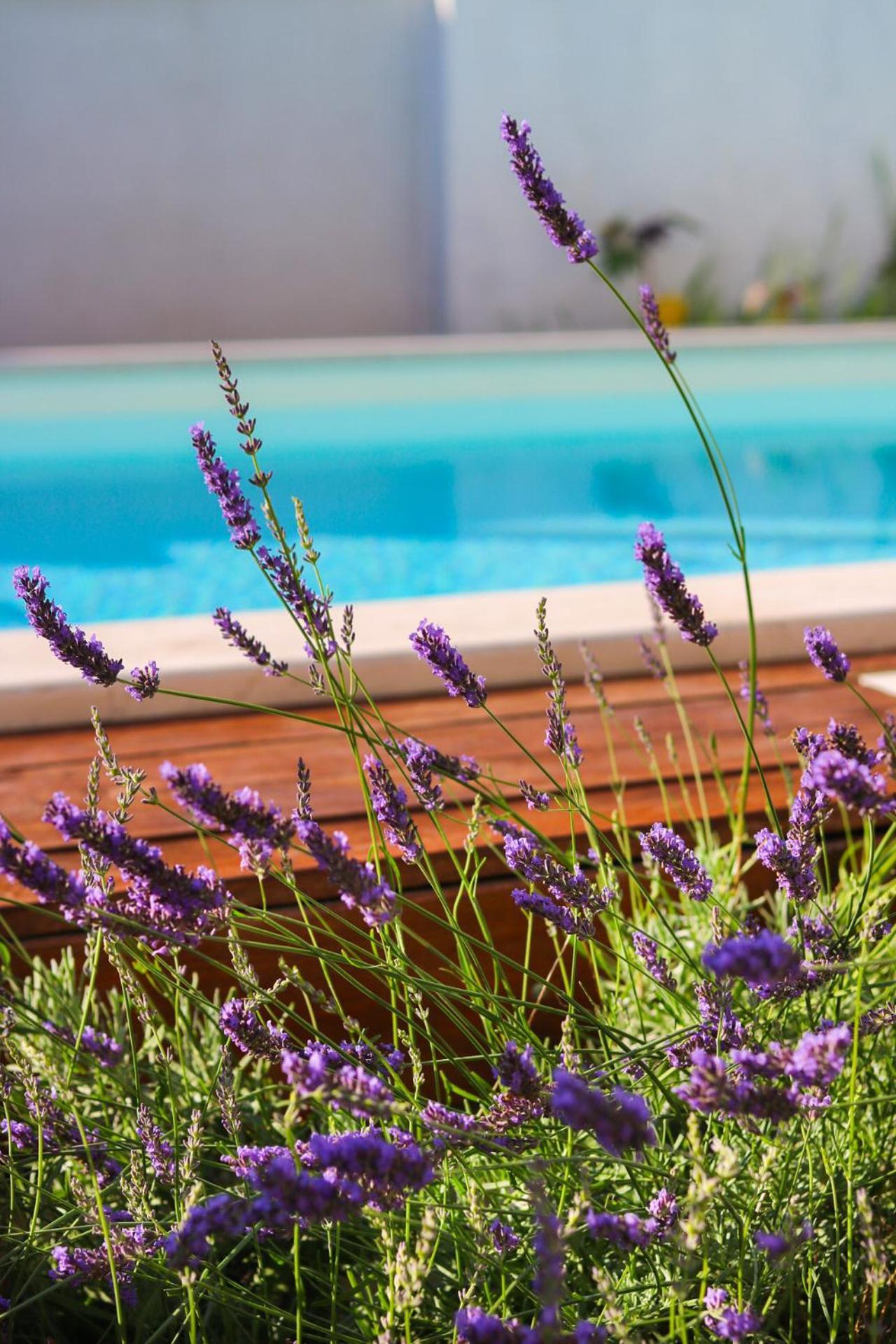 Villa My Rose With A Private Pool Mlini Esterno foto